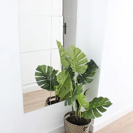 Superb Seaview In Playa De Americas Playa de las Américas